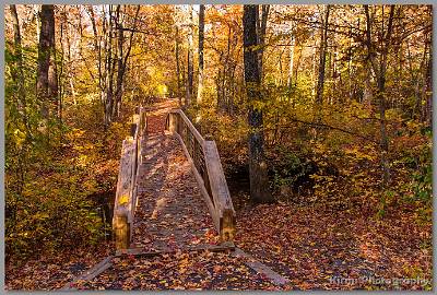 image by Kirms Photography Shark River Park Bridge